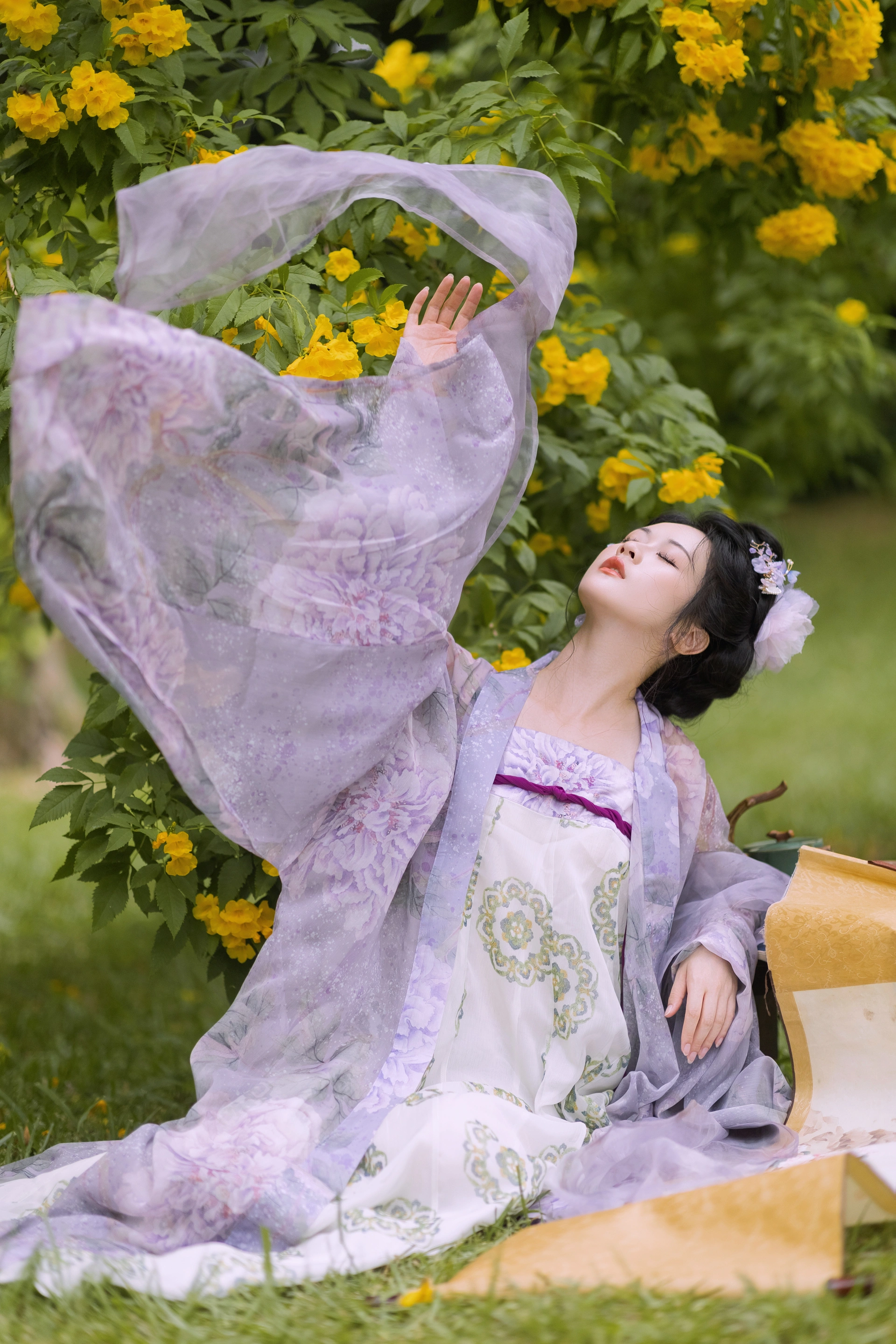[YITUYU艺图语]2024.12.28 晚秋花 神赐杏杏 2